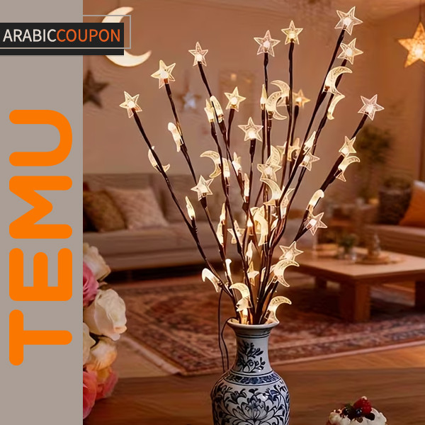 Crescent & Star LED twigs