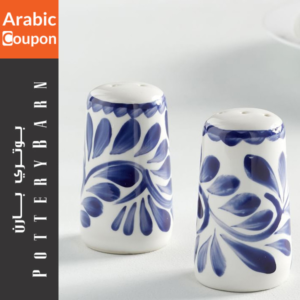 Pottery Barn Salt and Pepper Set