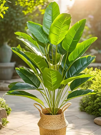 AliExpress deal and coupon on a realistic artificial plant, saving over 66%